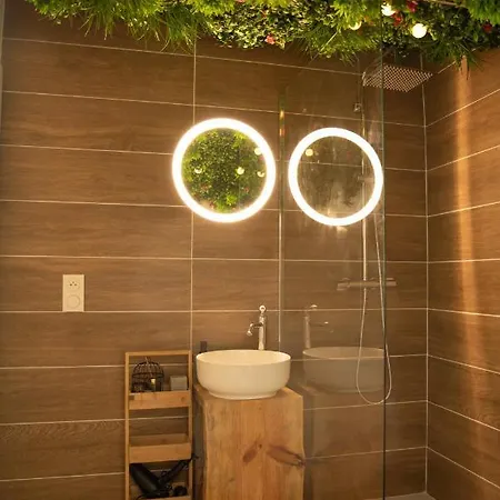 Douce Parenthese A Apartment Carcassonne