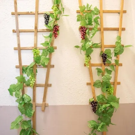 Douce Parenthese A Apartment Carcassonne