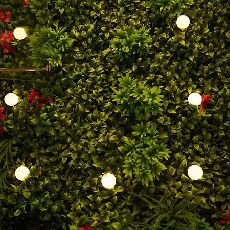 Lejlighed Douce Parenthese A Carcassonne