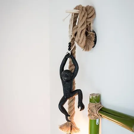 Apartment Douce Parenthese A Carcassonne