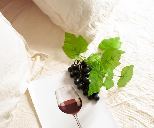 Douce Parenthese A Carcassonne