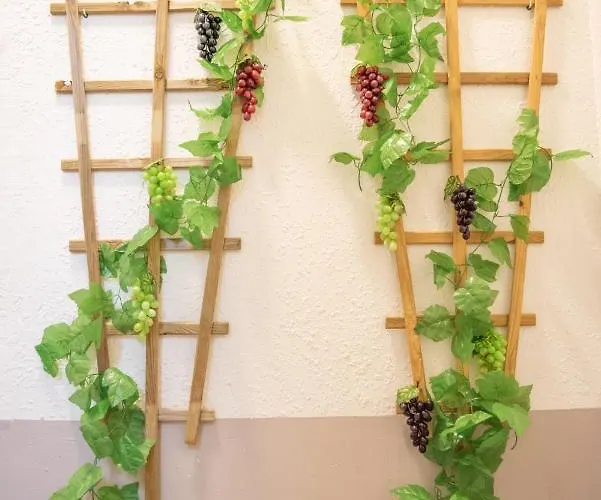 Douce Parenthese A דירה קרקסון