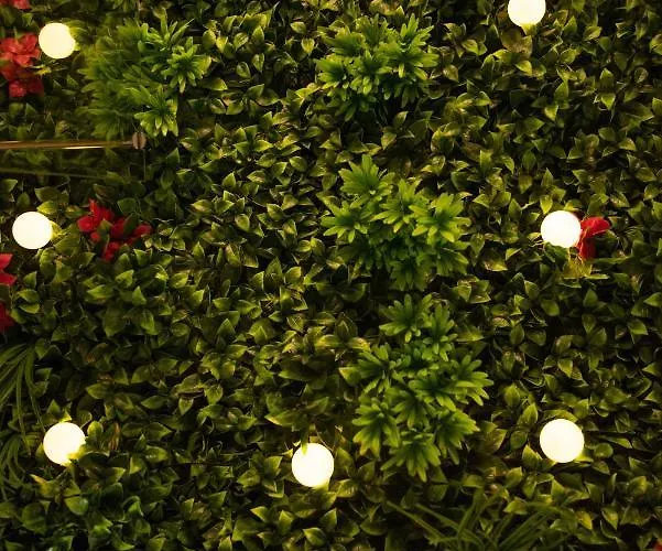 Lejlighed Douce Parenthese A Carcassonne