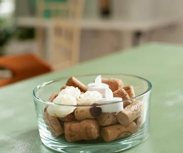 Lejlighed Douce Parenthese A Carcassonne