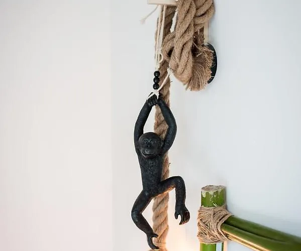 Lejlighed Douce Parenthese A Carcassonne